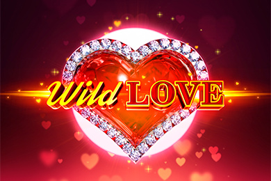 Слот Wild Love Онион Казино